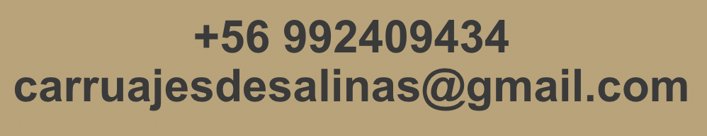 contacto-carruajesdesalinas